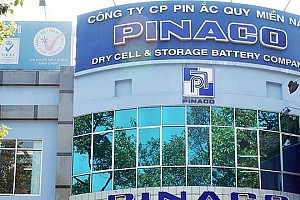  Công ty CP Pin Ắc Quy Miền Nam 